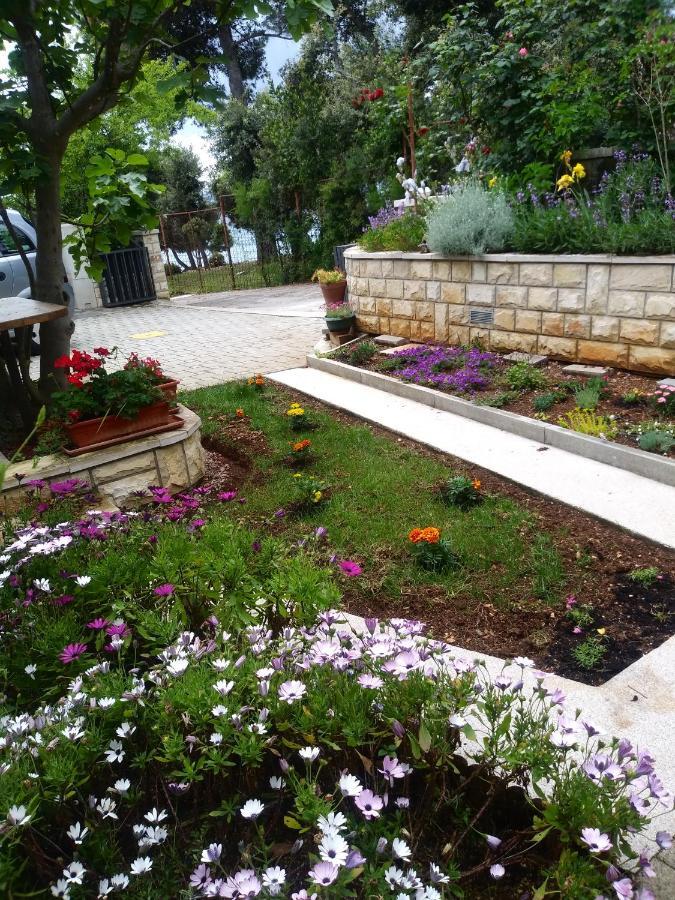 Apartments Zia Petrčane Dış mekan fotoğraf