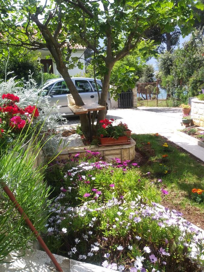 Apartments Zia Petrčane Dış mekan fotoğraf